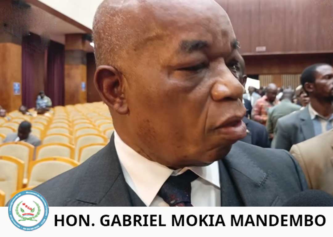 Analyse prospective et doctrinale de la pensée politique de Gabriel Mokia face aux défis constitutionnels de la RDC